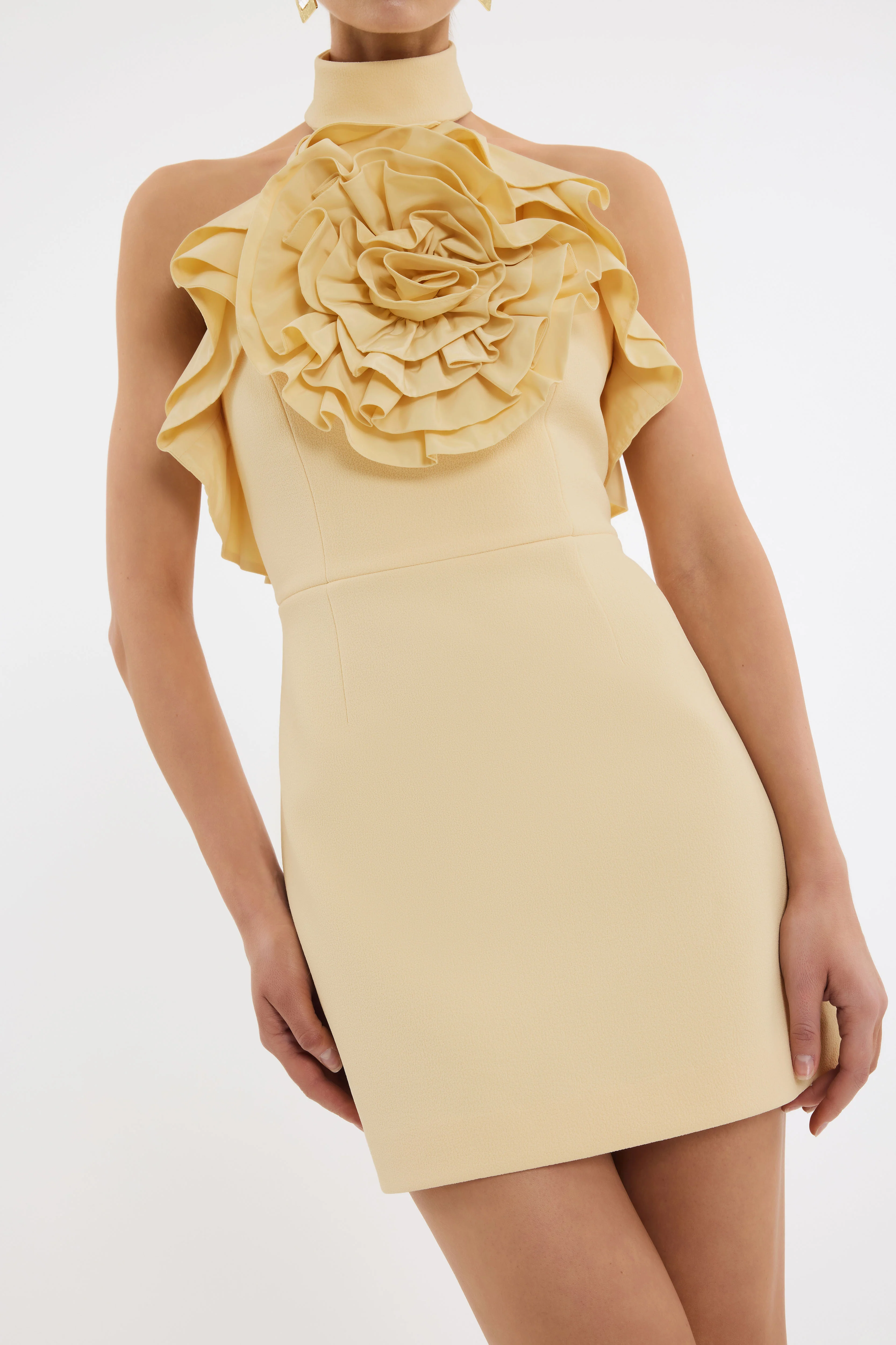 Aubriella Mini Dress - Image 5